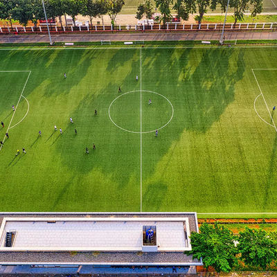 hierba sintética del fútbol al aire libre artificial de la escuela de 50m m PE