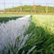 hierba artificial del césped del fútbol del verde del campo de hierba del fútbol de 50m m