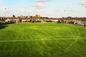 Campo de fútbol artificial del césped de la hierba artificial del fútbol del PE 50m m