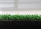 Mini Golf Artificial Grass de mirada natural PE encrespó el hilado no tóxico