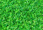 Mini Golf Artificial Grass de mirada natural PE encrespó el hilado no tóxico
