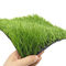 Resistencia ULTRAVIOLETA 5/8inch del fútbol del artículo artificial sintético de la hierba 50m m