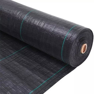 Accesorios artificiales negros de la hierba