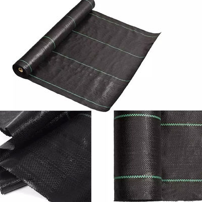 Accesorios artificiales negros de la hierba