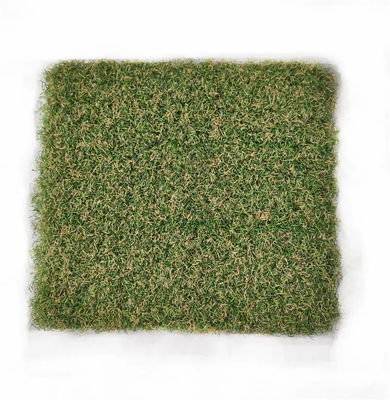 Putting green artificial interior de la hierba 15m m del césped del golf del SGS